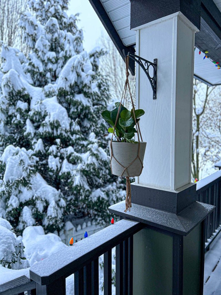 Craft Hanging Pot Small - Whats New Furniture Portland OR