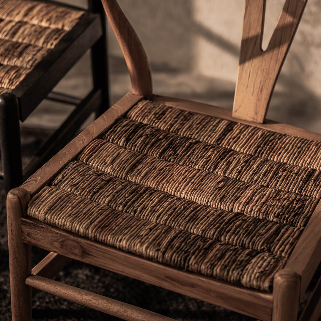 D-Bodhi Caterpillar Twin Chair in Pure - dining chair by LH Imports - Whats New Furniture Portland OR