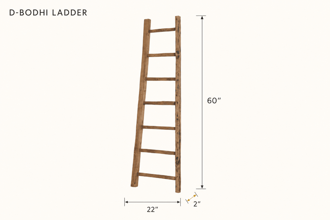 D-Bodhi Ladder dimensions - What&