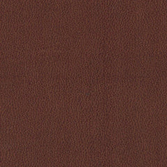 Fraser Dining Chair - Whats New Furniture - Portland, Oregon
