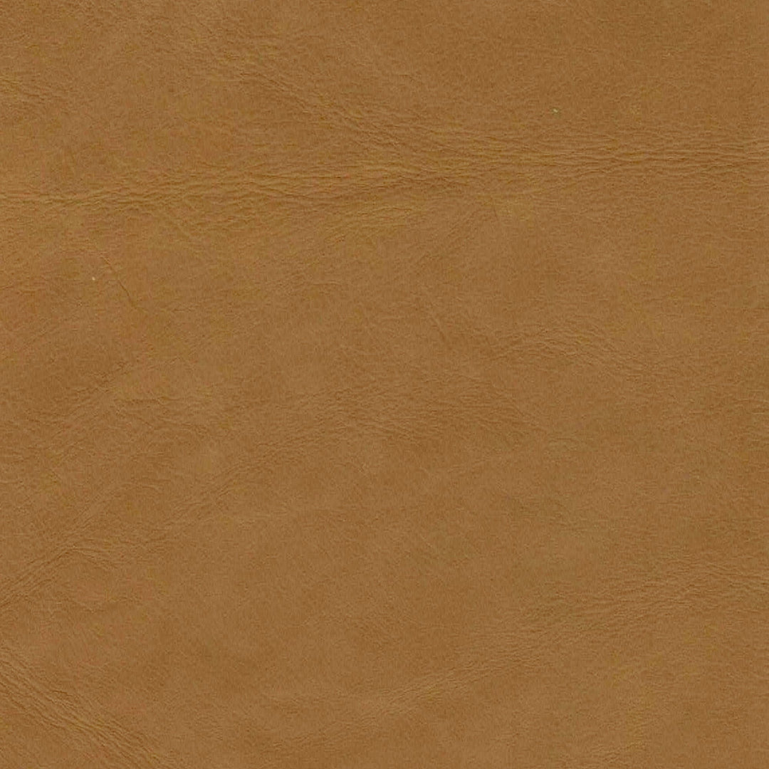 Jackson Sofa in Tan - sofa by LH Imports - Whats New Furniture Portland OR
