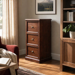 Lifestyle File Cabinet in African Dusk styled in Portland AlbertArts foursquare living room - Whats New Furniture