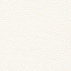 Luca Dining Chair in Fox White - dining chair by LH Imports - Whats New Furniture Portland OR