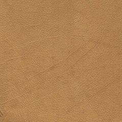 Milo Dining Chair in Tan Suede - dining chair by LH Imports - Whats New Furniture Portland OR