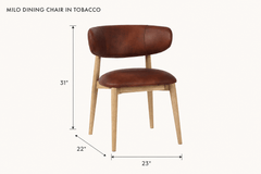 Milo Dining Chair in Tobacco dimensions - What&
