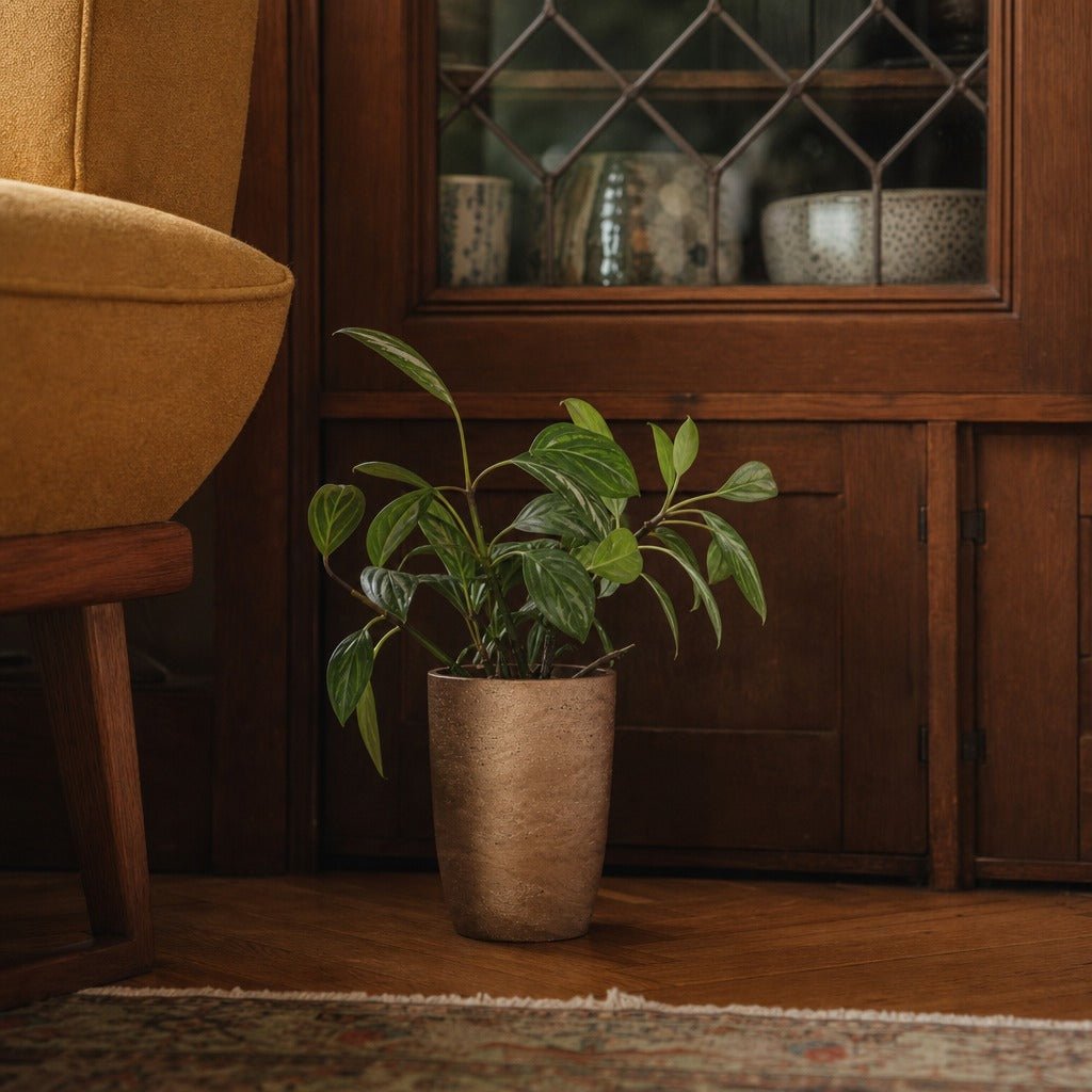 Mineral Small Tapered Vase in Metallic Bronze styled in Portland Irvington foursquare with original built-ins living room - Whats New Furniture