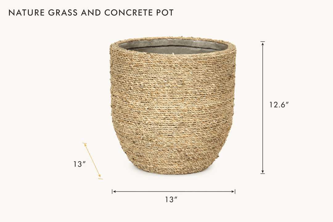 Nature Grass and Concrete Pot dimensions - What&