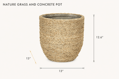 Nature Grass and Concrete Pot dimensions - What&
