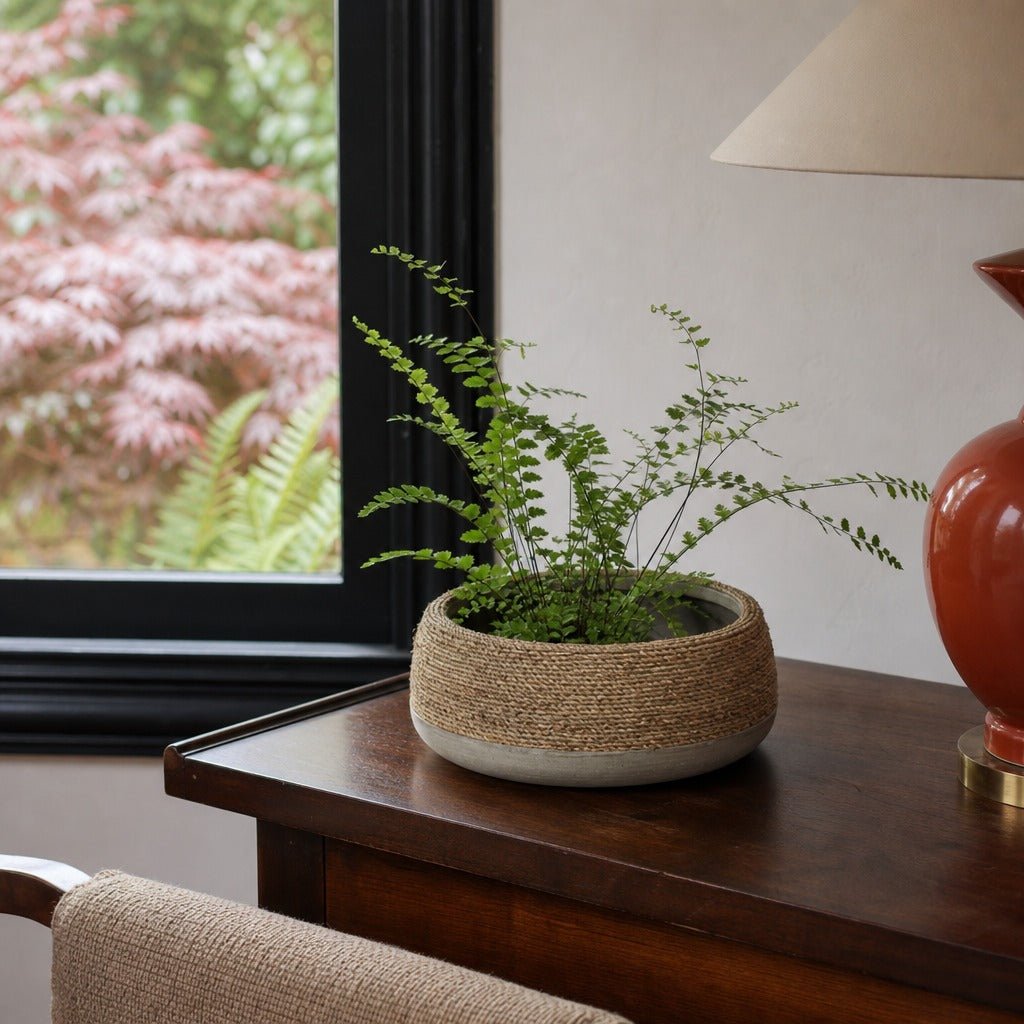 Nature Low Round Grass and Concrete Pot styled in Portland Laurelhurst Tudor cottage living room - Whats New Furniture