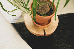Organic Martini Tables (Set of 2) - Whats New Furniture - Portland, Oregon