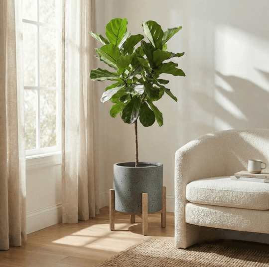 PATIO ROUND STANDING POT - What&