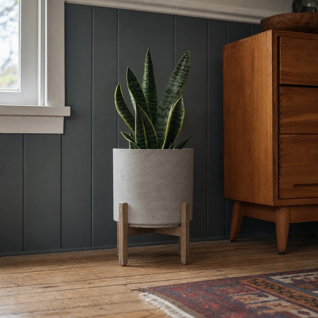 Patio Round Standing Pot Medium in Cement Grey styled in Portland St. Johns bungalow living room - Whats New Furniture
