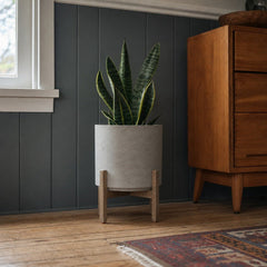 Patio Round Standing Pot Medium in Cement Grey styled in Portland St. Johns bungalow living room - Whats New Furniture