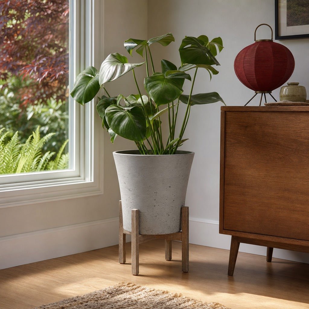 Patio Tapered Standing Pot Large in Cement Grey styled in Portland AlbertArts foursquare living room - Whats New Furniture