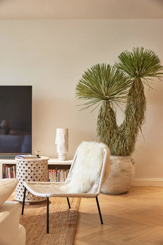 Renaissance White Loom Side Chair - Whats New Furniture - Portland, Oregon