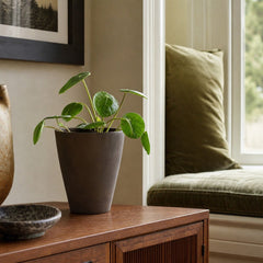 Rustic Small Vase in Rustic Brown styled in Portland NW 23rd Victoriwith bay window living room - Whats New Furniture