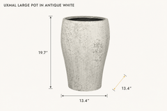 Uxmal Large Pot in Antique White dimensions - What&