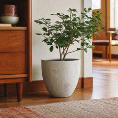 Uxmal Small Pot in Antique White styled in Portland 1960s Garden Home ranch living room - Whats New Furniture