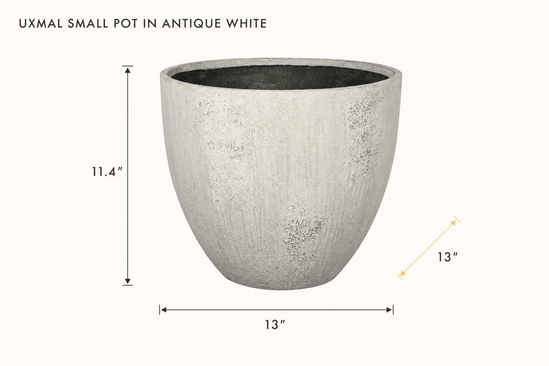 Uxmal Small Pot in Antique White dimensions - What&