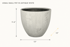 Uxmal Small Pot in Antique White dimensions - What&