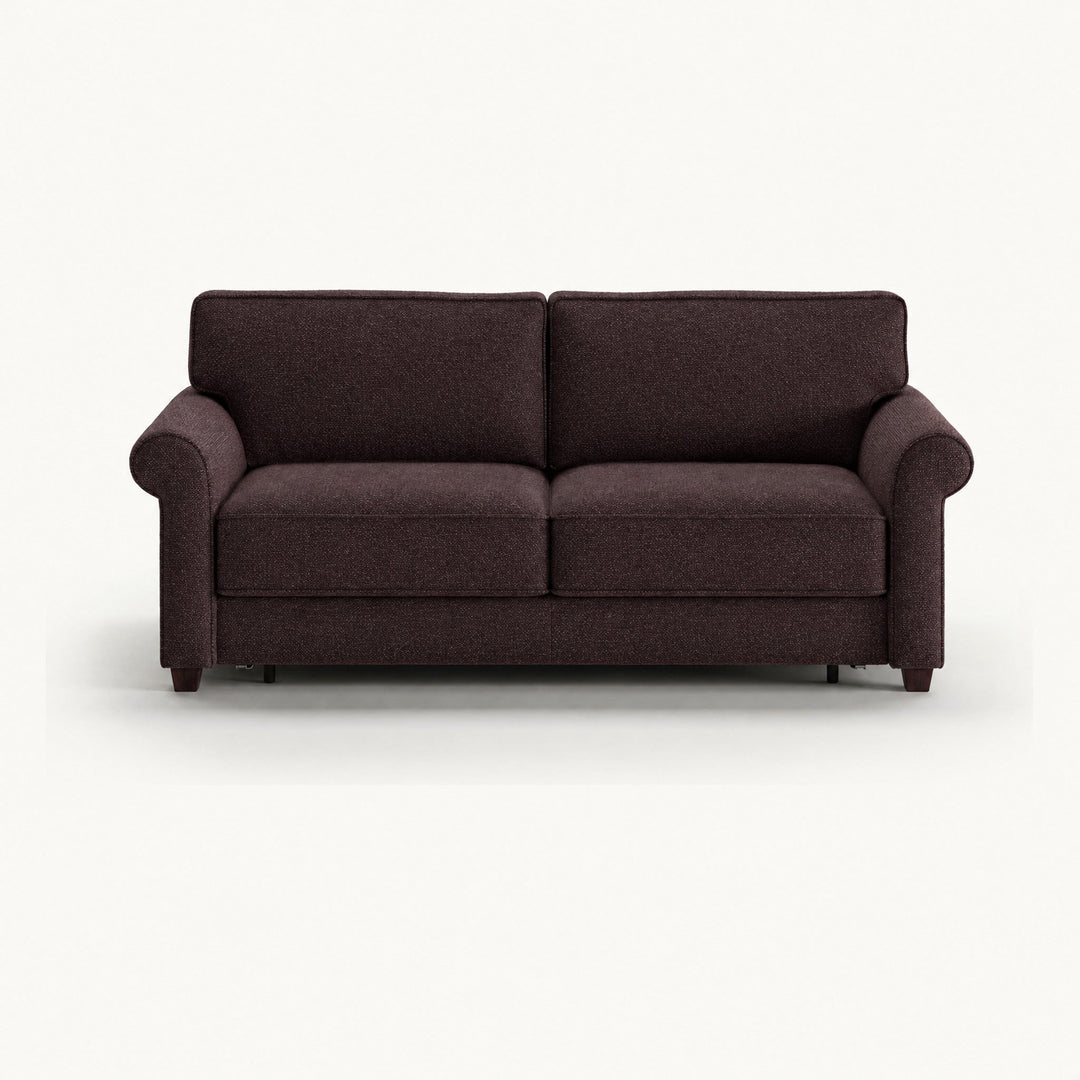 Casey Queen Sleeper Sofa in Luna 29 — closed sofa, front view - queen sleeper sofa by Luonto - Whats New Furniture Portland OR