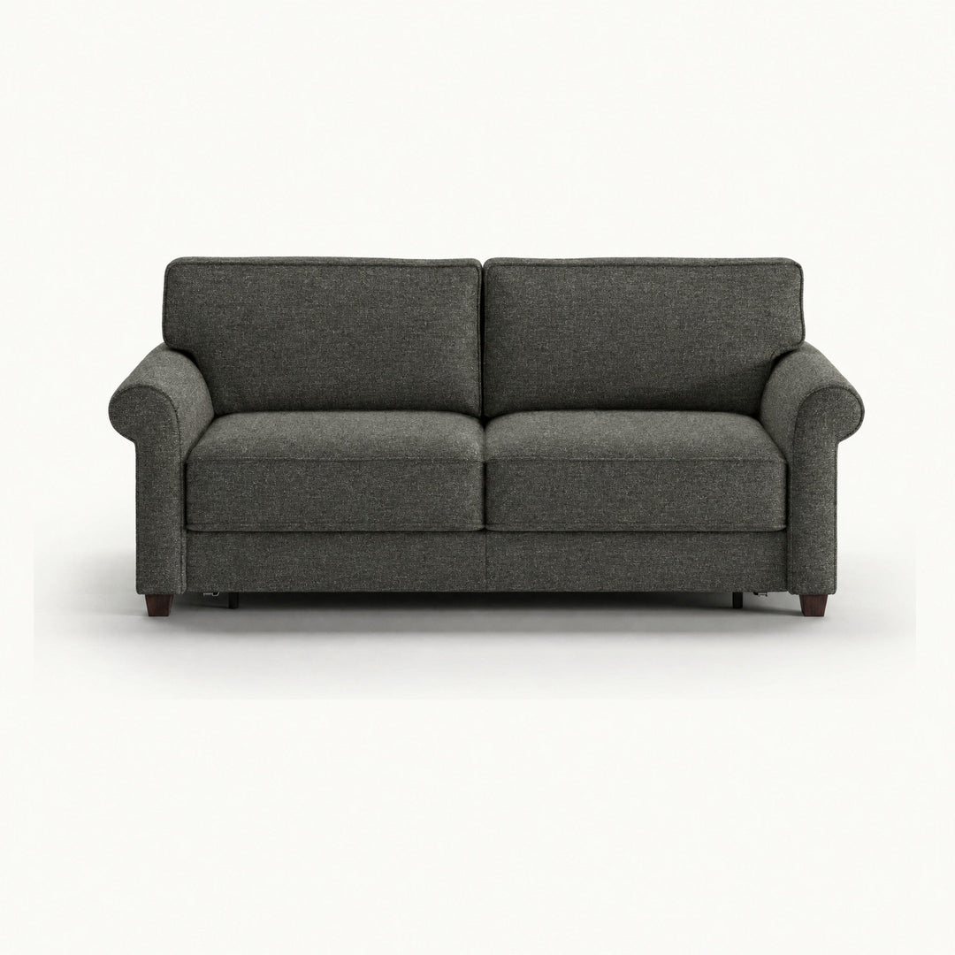 Casey Queen Sleeper Sofa in Oliver 515 — closed sofa, front view - queen sleeper sofa by Luonto - Whats New Furniture Portland OR