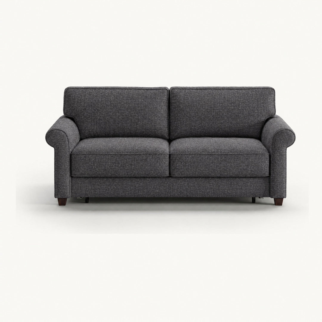 Casey Queen Sleeper Sofa in Rene 04 — closed sofa, front view - queen sleeper sofa by Luonto - Whats New Furniture Portland OR