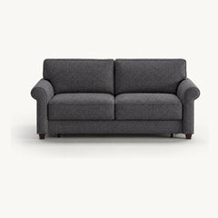 Casey Queen Sleeper Sofa in Rene 04 — closed sofa, front view - queen sleeper sofa by Luonto - Whats New Furniture Portland OR