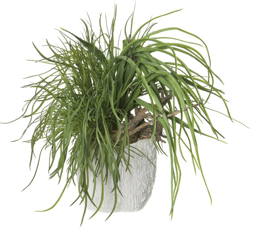 Mixed Grass/Driftwood in Coral Vase in Green Coral - faux mixed grass arrangement - Whats New Furniture Portland OR