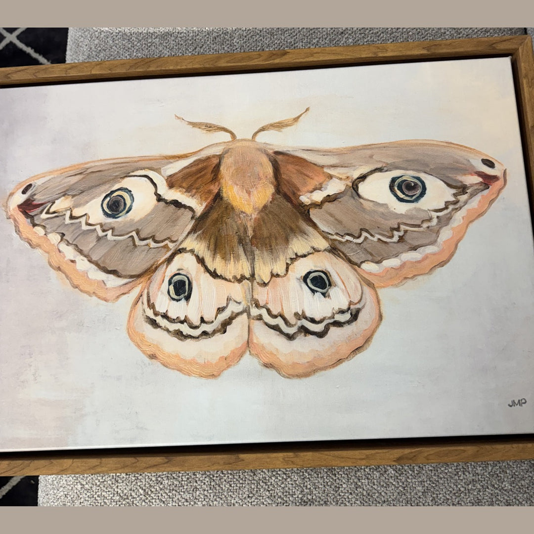 Framed painting of an emperor moth in taupe and blush, in a natural wood floater frame
