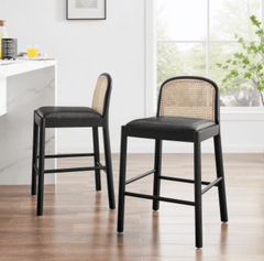 Donna KD Faux Leather Rattan Counter Stool - Whats New Furniture - Portland, Oregon