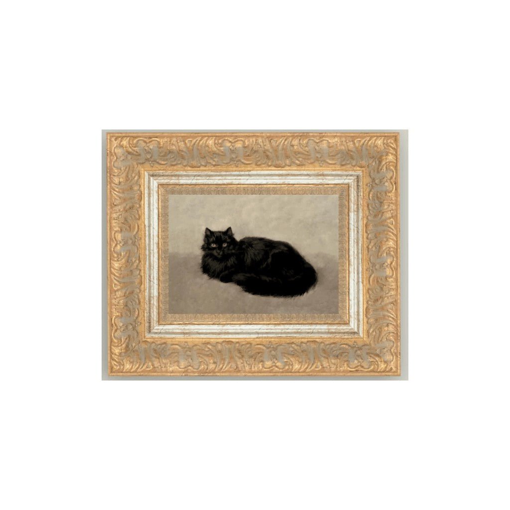 Black Cat - Whats New Furniture - Portland, Oregon