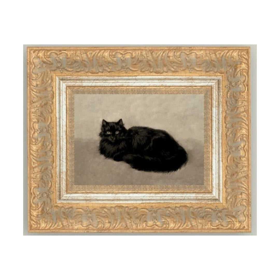 Black Cat - Whats New Furniture - Portland, Oregon