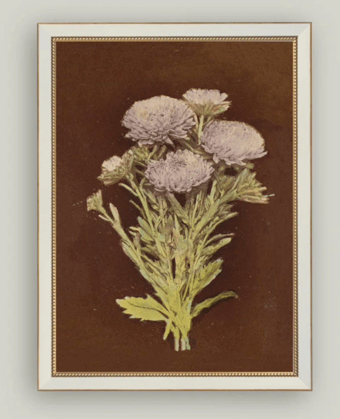 Lilac Dahlia on Brown - Beaded Brass Cream - What's New Furniture - Portland, Oregon