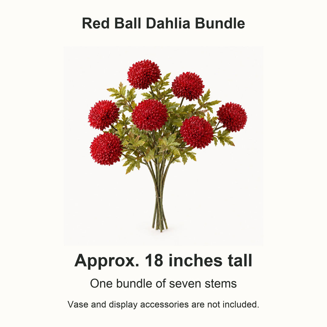 Red ball dahlia bundle size guide: approximately 18 inches tall, seven stems - Whats New Furniture Portland OR