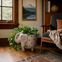 Ivory elephant planter styled in a Portland entryway - Whats New Furniture