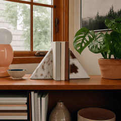 Hair on hide cow print bookends styled on a Portland shelf - Whats New Furniture