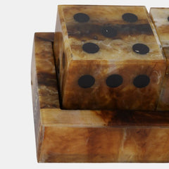 Tortoise Resin Dice Set detail view 4 - Whats New Furniture Portland OR