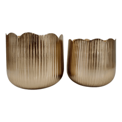 Tulip Shaped Planters front view - Whats New Furniture Portland OR