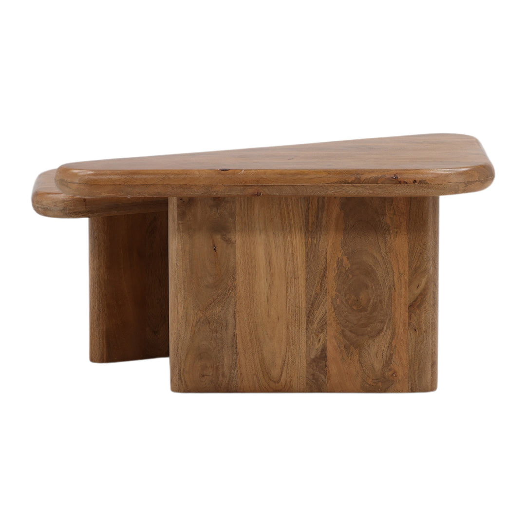 Sansa Coffee Table Set of 2 - Brown Mango Wood back view - Coffee Tables by Dovetail - Whats New Furniture Portland OR