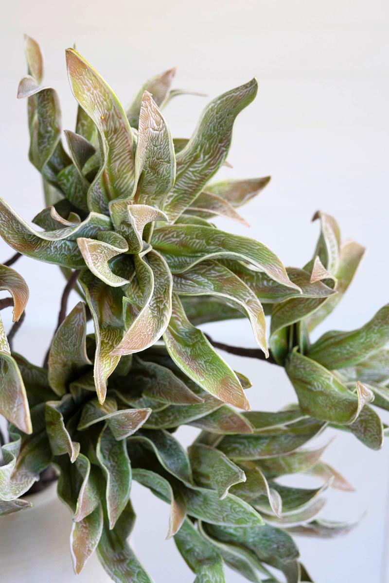 Faux Spiky Botanica Stem, 38-Inch Stem — view 3