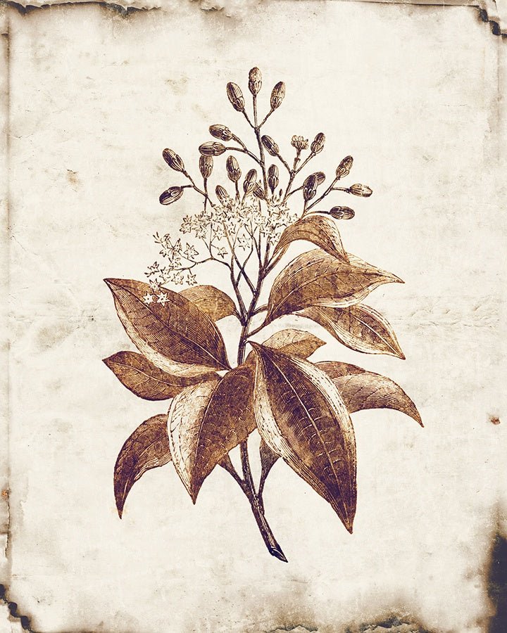 Monochromatic Plants I Glass Framed Wall Art, 24" x 30" by Studio Select Art - product view - Whats New Furniture Portland OR
