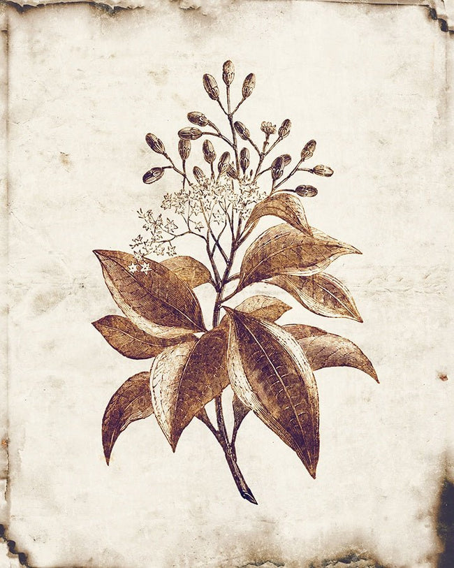 Monochromatic Plants I Glass Framed Wall Art, 24" x 30" by Studio Select Art - product view - Whats New Furniture Portland OR