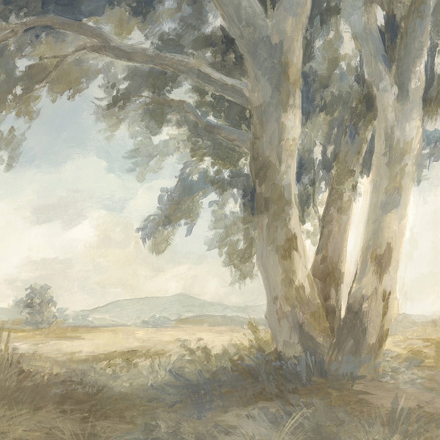 Rooted in Stillness Canvas Wall Art, 40" x 40" by Studio Select Art - product view - Whats New Furniture Portland OR