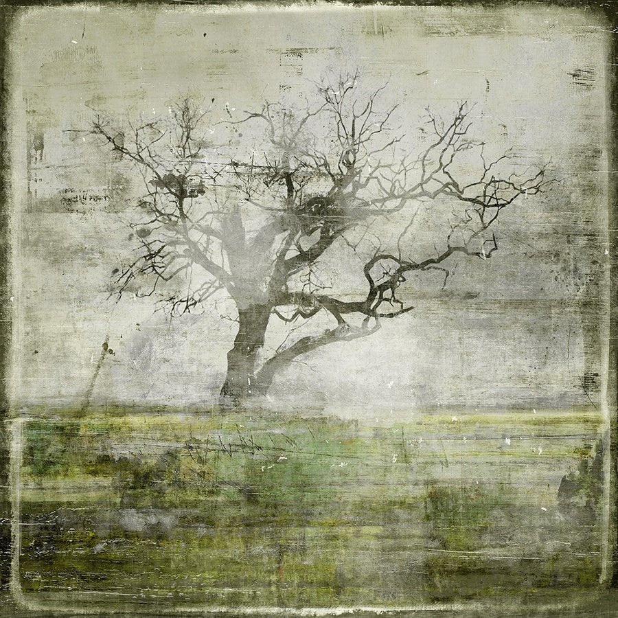 The Natural Archive III Canvas Wall Art, 30" x 30" by Studio Select Art - product view - Whats New Furniture Portland OR