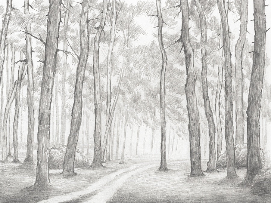 Where the Path Twists I Canvas Wall Art, 48" x 36" by Studio Select Art - product view - Whats New Furniture Portland OR
