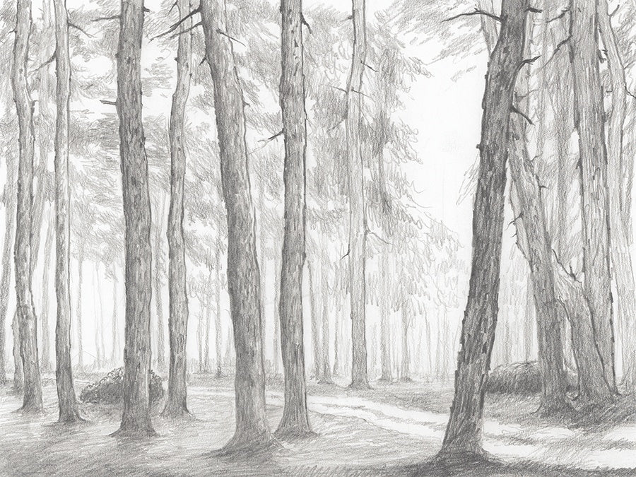 Where the Path Twists II Canvas Wall Art, 16" x 12" by Studio Select Art - product view - Whats New Furniture Portland OR