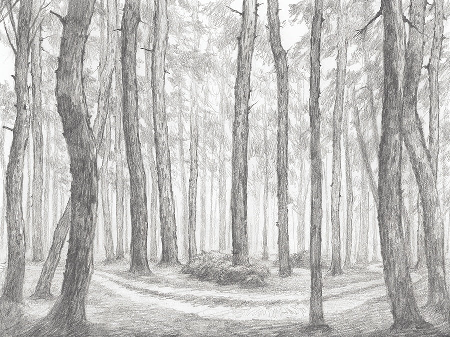 Where the Path Twists III Canvas Wall Art, 16" x 12" by Studio Select Art - product view - Whats New Furniture Portland OR