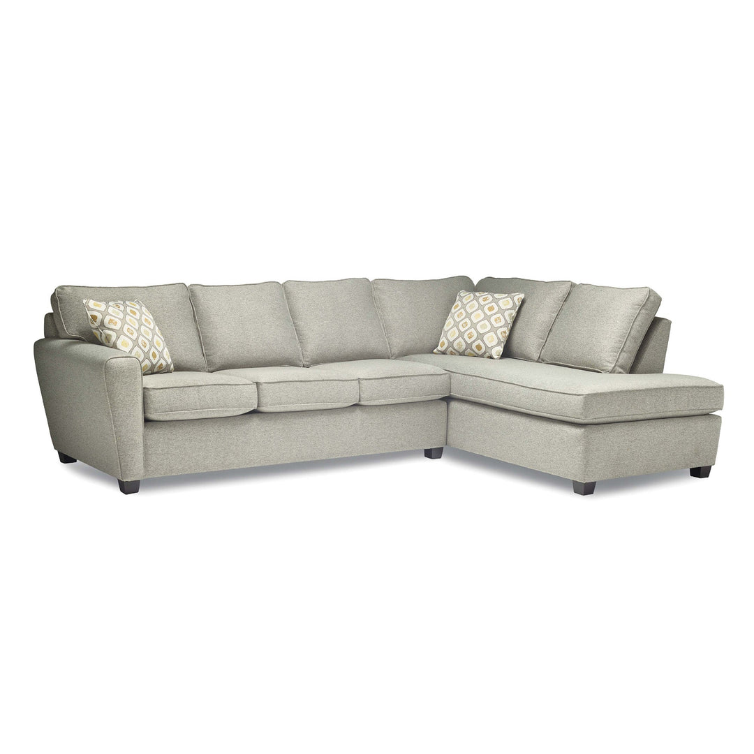 Echo Custom Sofa Bed - Whats New Furniture - Portland, Oregon