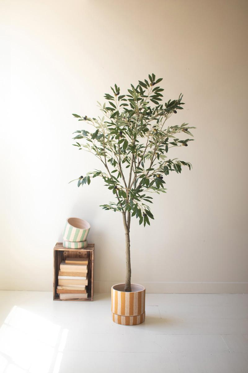 Tall Faux Olive Tree in Pot — What&